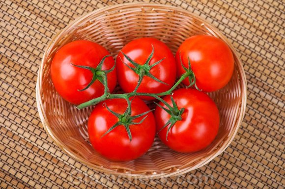 Tomato,کشتوکاڵ، ڕووەک، تەماتە, الطماطم