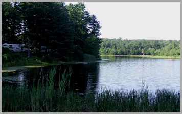 DSCF0099