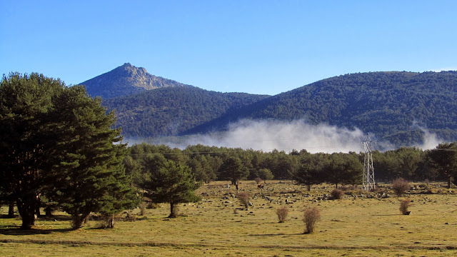 La Niebla en San Rafael