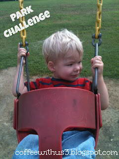 Park Challenge Fun