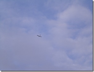 CIMG4224