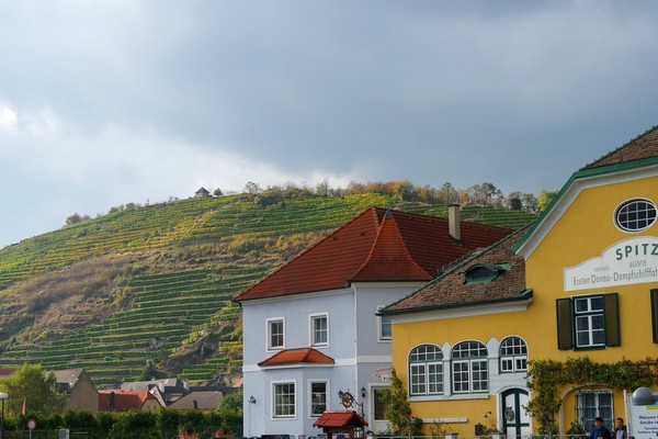 autriche wachau donau danube croisière spitz