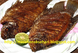 Ikan goreng