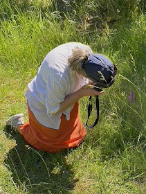 Photographing wild orchids.  Indre et Loire, France. Photographed by Susan Walter. Tour the Loire Valley with a classic car and a private guide.