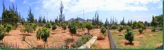 CAM00087