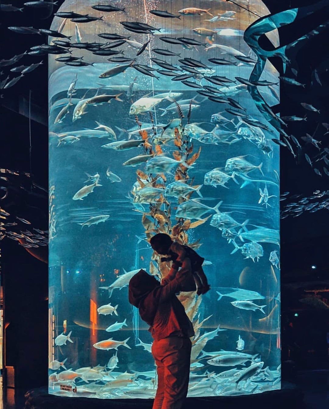 Jakarta Aquarium