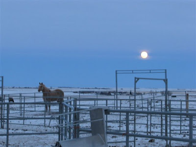 Ama Road Reports Alberta