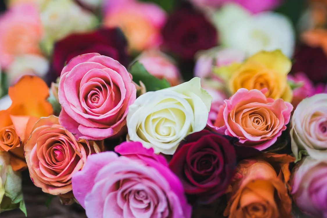 How to Choose the Perfect Mother's Day Flowers for Your Mom