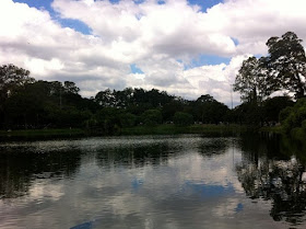 Parque Ibirapuera