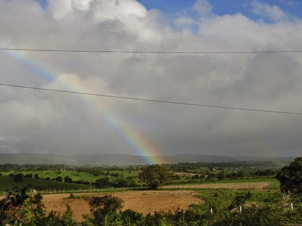 O ENCANTAMENTO DOS FENÔMENOS NATURAIS