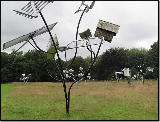1664YSP55