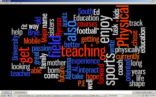 wordle created image scramble of all words in blog