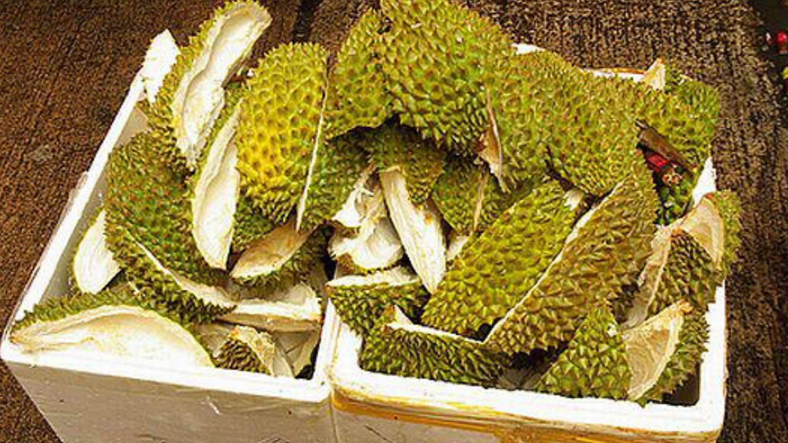 Pemanfaatan Limbah Kulit Durian Sebagai Salah Satu Upaya 