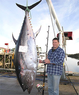 This Pacific blue fin tuna is the largest ever caught