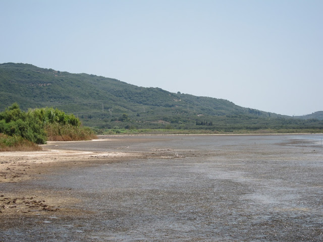 παράξενο πιρούνι, paraxeno pirouni