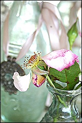 blog 8