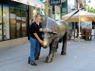 Wayne with Bull in Ul Makedonija - Skopje, Macedonia