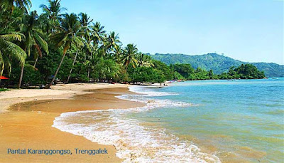 Karanggongso beach, Terri