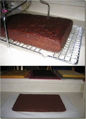 cake tips_thumb[1]