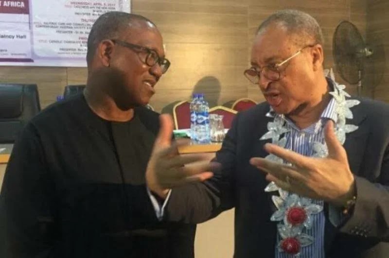 Pat Utomi: Peter Obi’s movement will change Nigeria