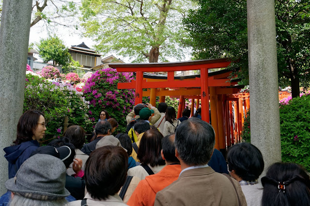 根津神社の千本鳥居も観光スポットとして有名だ。