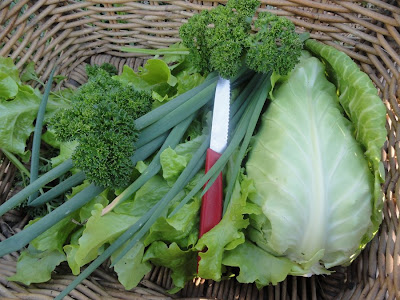 The kitchen garden - endless possibilities