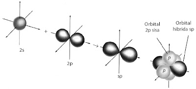 Pembentukan orbital hibrida sp