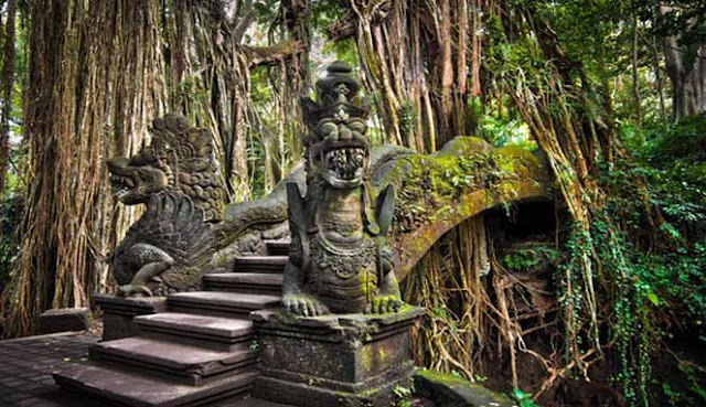 MENJELAJAHI UBUD, KOTA TERINDAH DI DUNIA