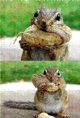 clip_image008