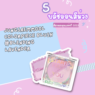 Jungsaemmool Colorpiece Blush #Blending Lavender OHO999.com