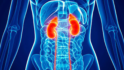 Chronic kidney disease