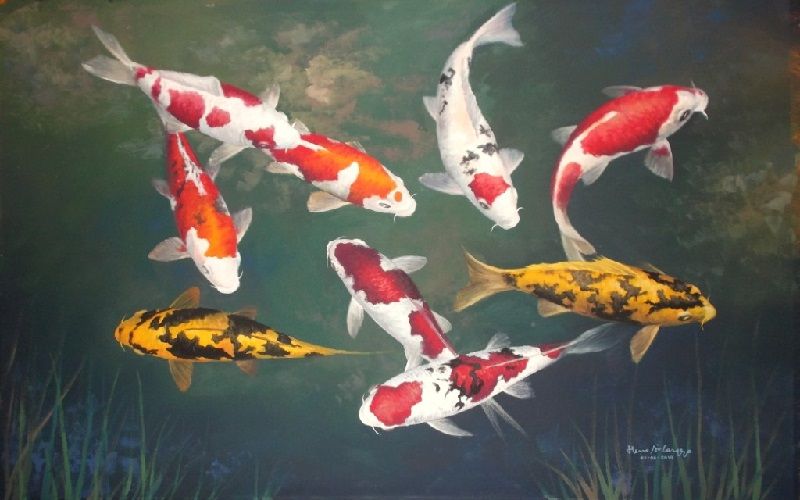 Gambar Lukisan Ikan Koi yang Cantik dan Indah