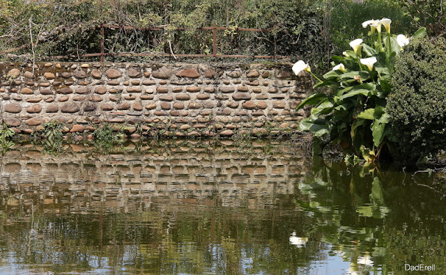 Mur de pierres et mare