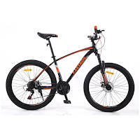 26 fastron f260dt mtb sepeda