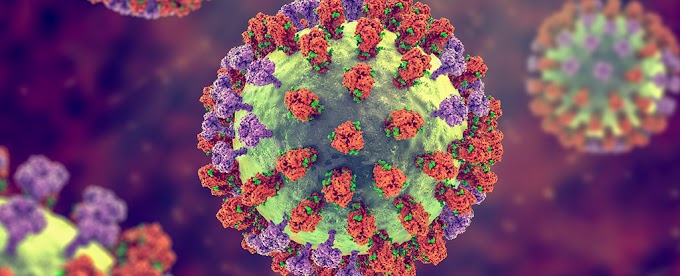 Por que a gripe não pode ser totalmente erradicada ?
