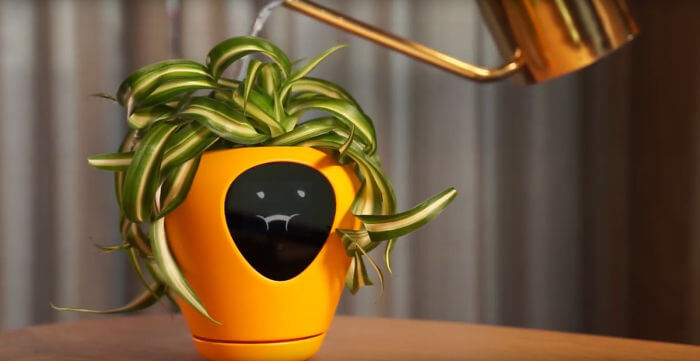 This Planter Transforms Plants Into Tamagotchi-Like Pets