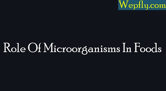 Role Of Microorganisms In Foods