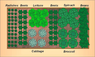 Vegetable Garden Designs on Garden  Gardening In The Home Landscape  Garden Designs And Layouts