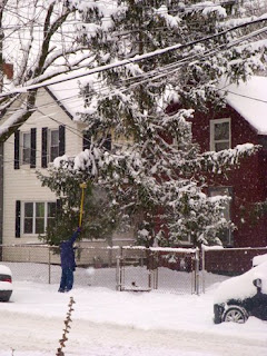 Tremont Lady Cleans Snow From Tree