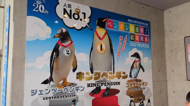 長崎ペンギン水族館へ行ってきましたのでご案内いたします！