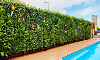 Vertical garden