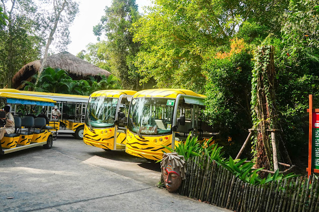 【富國島】觀光．越南最大野生動物園，近距離接觸動物｜Vinp