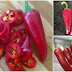 lovely red jalapenos