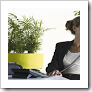 Plantas purificadoras