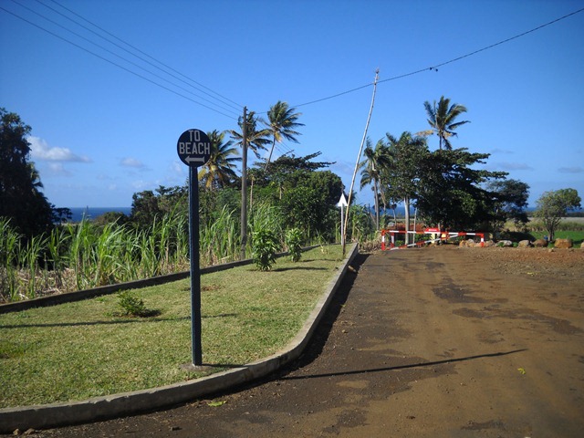 DSCN6619