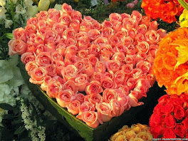 Roses Valentine Wallpaper