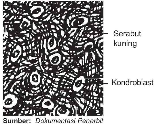 Contoh Artikel Ilmiah Biologi - Contoh 43