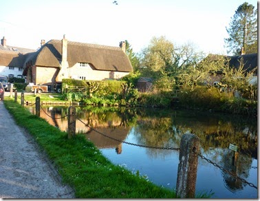 wilton duckpond