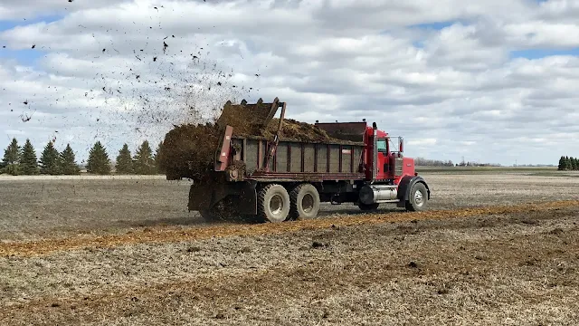 fall manure application nutrient loss nitrogen phosphorus minnesota
