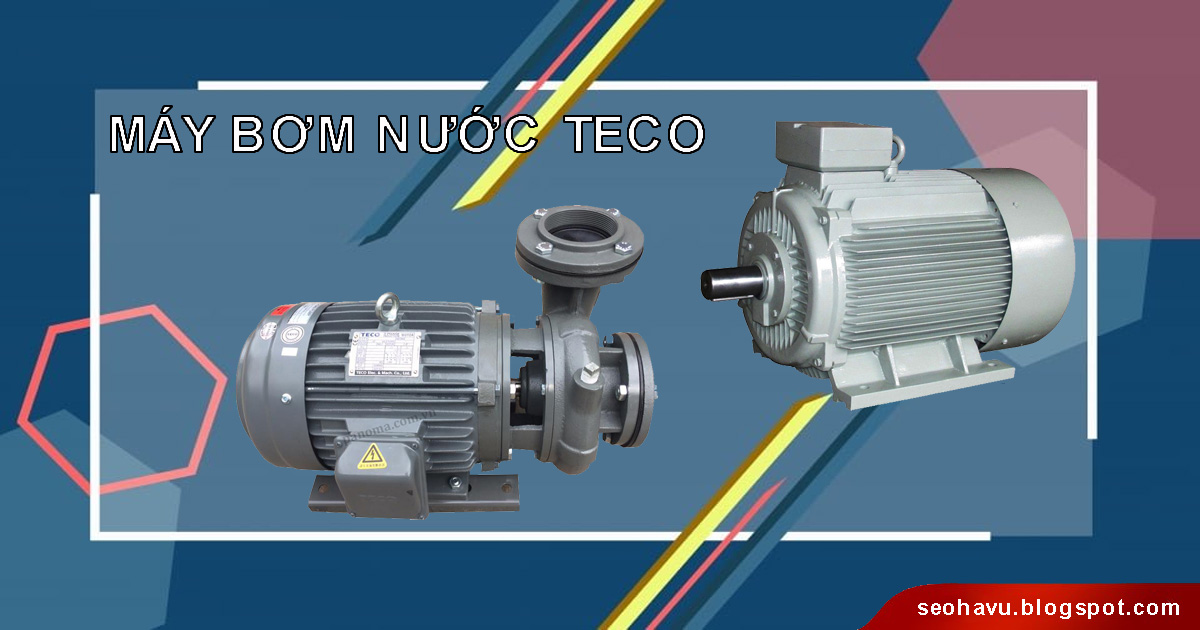 Máy bơm nước Teco được sử dụng phổ biến tại Việt Nam